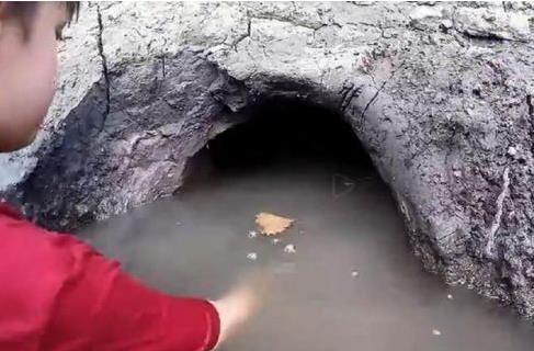 父子怪洞里竟拖出庞然大物（难忘经历过程图）