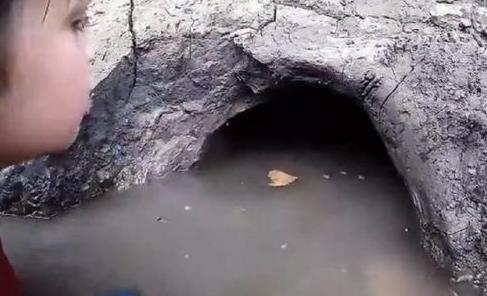 父子怪洞里竟拖出庞然大物（难忘经历过程图）