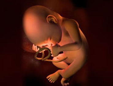 【怀孕30周】怀孕三十周胎儿图，怀孕30周胎动、注意事项