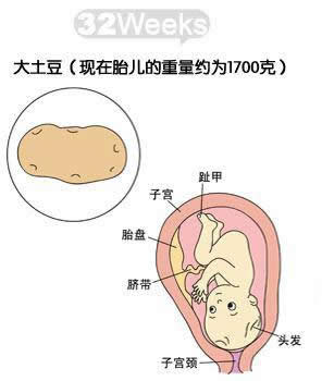 怀孕32周脐带绕颈两周,昨天去照b超,医生这么说的,可以顺产吗?