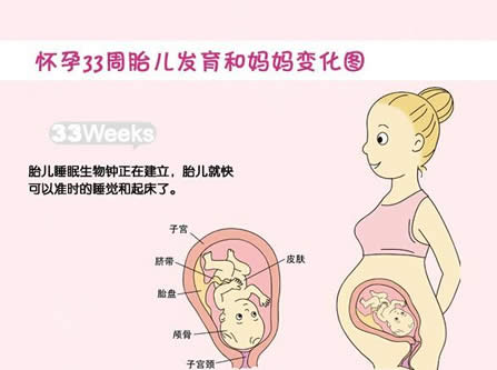 【怀孕33周】怀孕33周胎儿图,怀孕33周孕妈症状、注意事项 【怀孕33周】怀孕33周胎儿图,怀孕33周孕妈症状、注意事项