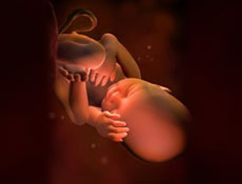 【怀孕34周】怀孕三十四周胎儿图，怀孕34周产检项目及饮食