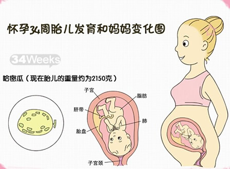 【怀孕34周】怀孕三十四周胎儿图，怀孕34周产检项目及饮食