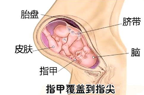 【怀孕34周】怀孕三十四周胎儿图，怀孕34周产检项目及饮食