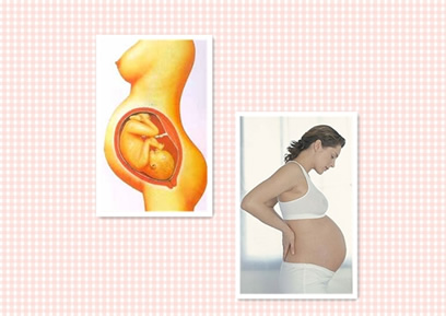 【怀孕36周】怀孕三十六周胎儿图，怀孕36周胎儿发育、胎动图