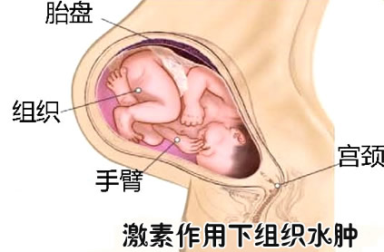 【怀孕39周】怀孕三十九周胎儿图,怀孕39周症状,怀孕39周注意事项