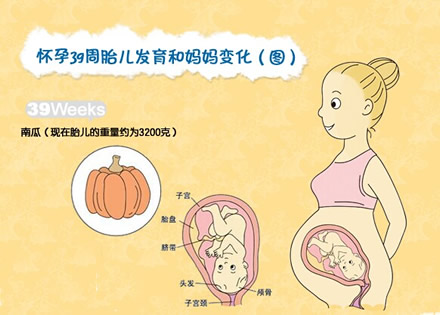 【怀孕39周】怀孕三十九周胎儿图,怀孕39周症状,怀孕39周注意事项