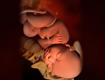 【怀孕40周】怀孕四十周胎儿图,怀孕40周产房分娩、注意事项