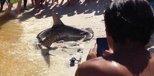 男子海边垂钓发现这物 罕见一幕让人惊呆(图) 男子海边垂钓发现这物 罕见一幕让人惊呆(图)