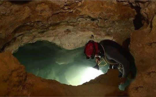 封闭550万年洞穴 打开后发现怪异生物（图）