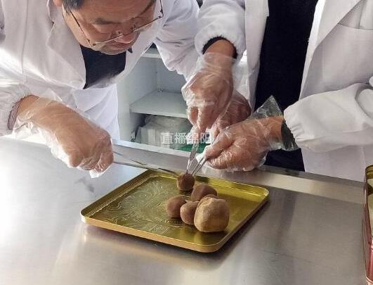 一个羊胃惊现5个羊宝:估价逾千万 一个羊胃惊现5个羊宝:估价逾千万