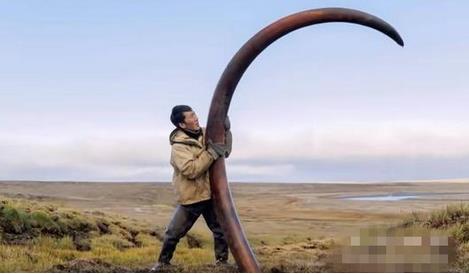 农民海边挖土 竟挖出巨额财富 农民海边挖土 竟挖出巨额财富