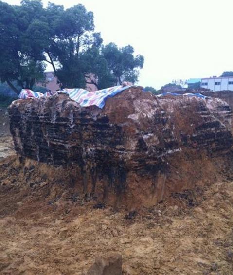 揭秘:95年成都僵尸事件开棺全过程（胆小勿入 ）