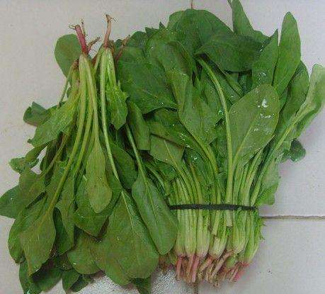 家家吃它却不知这样吃治肺癌（图）