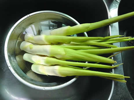 家家吃它却不知这样吃治肺癌（图）