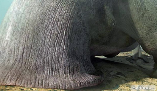 关于外星人的十大猜想:外星人正在研究人类? 关于外星人的十大猜想:外星人正在研究人类?