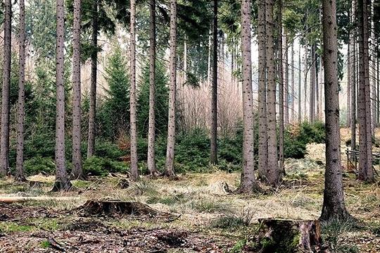 揭秘全球最恐怖的的七个景点：胆小勿入（图）