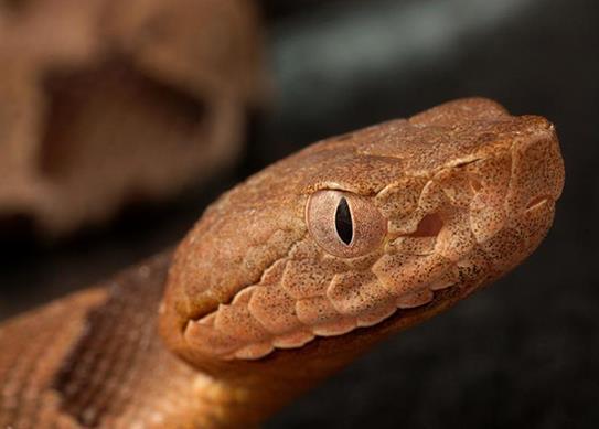 揭秘全球最恐怖的的七个景点：胆小勿入（图）