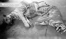 【外星人事件】真假难辨的10大外星人传奇:轰动世界 【外星人事件】真假难辨的10大外星人传奇:轰动世界