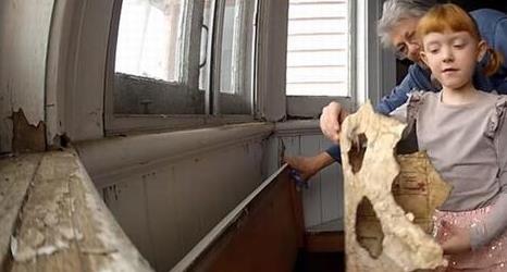 女孩发现神秘宝箱,打开全家人惊呆（图）