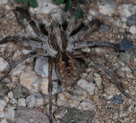 男子发现奇怪洞口:查看后被吓得连退几步(图) 男子发现奇怪洞口:查看后被吓得连退几步(图)