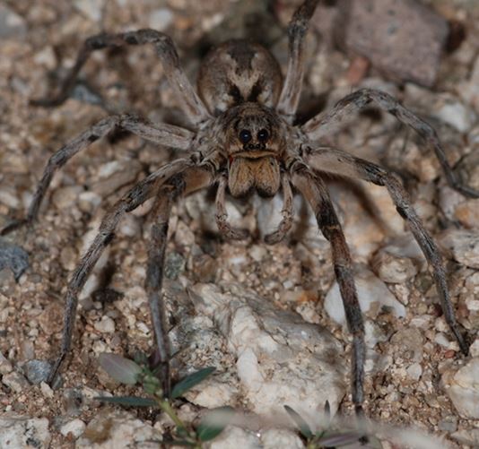 男子发现奇怪洞口:查看后被吓得连退几步(图) 男子发现奇怪洞口:查看后被吓得连退几步(图)