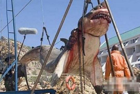 震惊!修路基地竟挖出千年巨兽(组图) 震惊!修路基地竟挖出千年巨兽(组图)