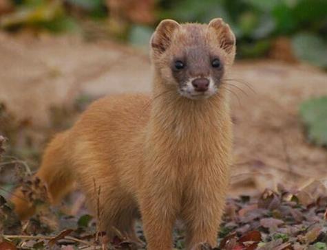 在农村劳动发生的怪事,想起都后怕!