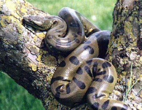 在农村劳动发生的怪事,想起都后怕!