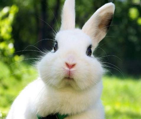 在农村劳动发生的怪事,想起都后怕!