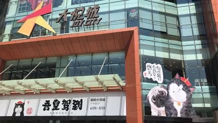 吾皇驾到——傲娇萌主惊艳大悦城，精美绝伦霸气登场