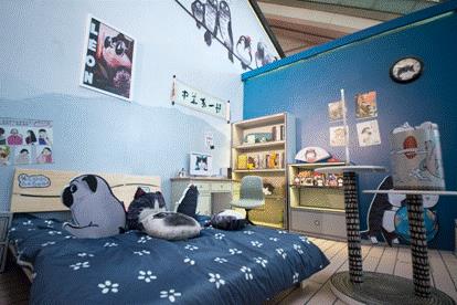 吾皇驾到——傲娇萌主惊艳大悦城，精美绝伦霸气登场