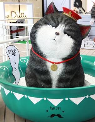 吾皇驾到——傲娇萌主惊艳大悦城，精美绝伦霸气登场