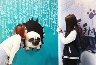 吾皇驾到——傲娇萌主惊艳大悦城，精美绝伦霸气登场