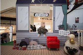 吾皇驾到——傲娇萌主惊艳大悦城，精美绝伦霸气登场