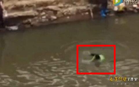 实拍女子河边洗衣被“水鬼”拉走（画面惊魂）