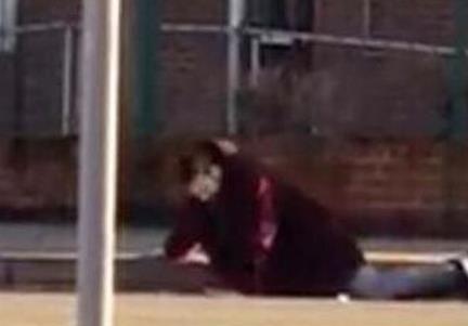 男子奇怪趴地上竟看到惊人一幕 男子奇怪趴地上竟看到惊人一幕