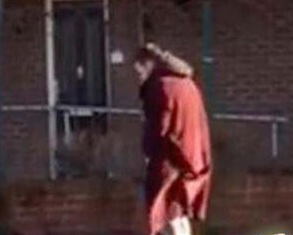 男子奇怪趴地上竟看到惊人一幕 男子奇怪趴地上竟看到惊人一幕