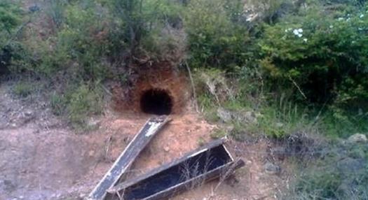 男子迁坟挖出这物 专家的话惊人 男子迁坟挖出这物 专家的话惊人