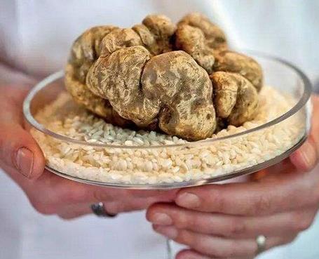 世界最贵食物:吃一嘴倾家荡产(图) 世界最贵食物:吃一嘴倾家荡产(图)