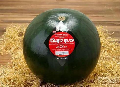 世界最贵食物:吃一嘴倾家荡产(图) 世界最贵食物:吃一嘴倾家荡产(图)