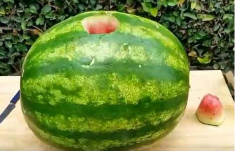 西瓜开孔放干冰下一幕让人震惊（组图）