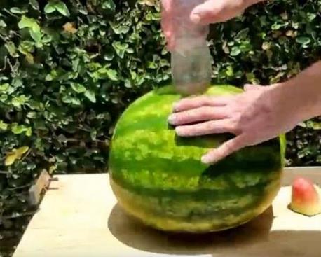 西瓜开孔放干冰下一幕让人震惊（组图）