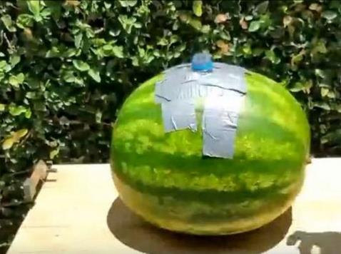 西瓜开孔放干冰下一幕让人震惊（组图）
