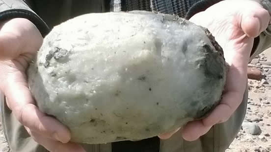 渔夫捡到一块臭石头 竟是价值数百万（图）