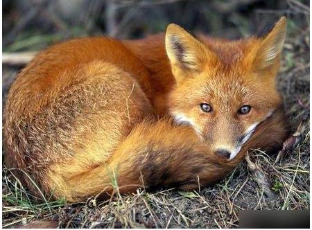 农村劳动竟发生怪事 想起都后怕!（组图）