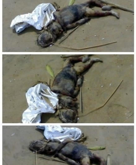 诡异!广东活捉“水鬼”真相惊人(组图) 诡异!广东活捉“水鬼”真相惊人(组图)