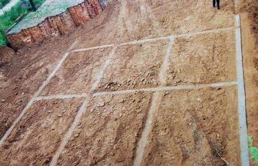 美女村姑12万建别墅 成果震撼世界（组图）