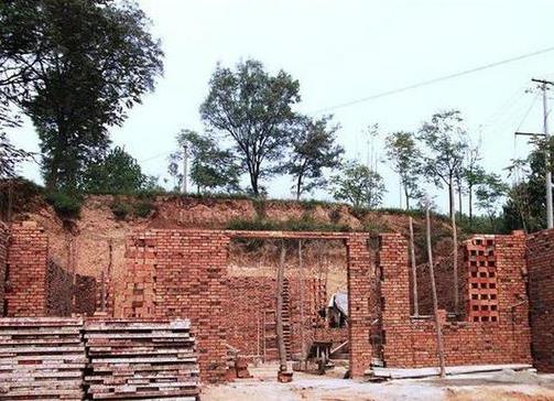 美女村姑12万建别墅 成果震撼世界（组图）