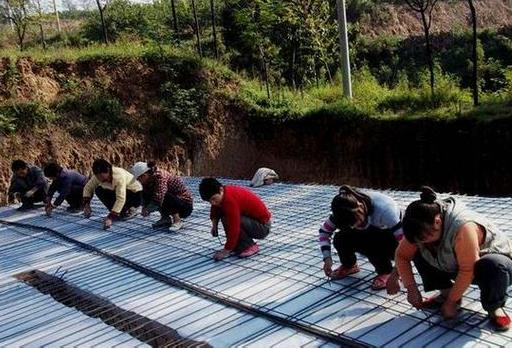 美女村姑12万建别墅 成果震撼世界（组图）